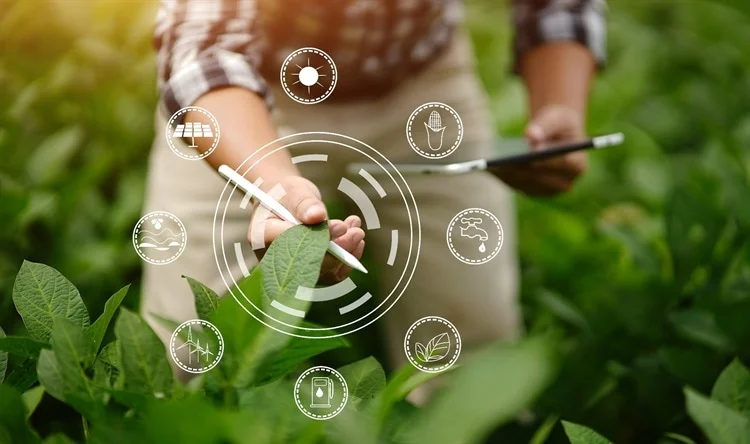 Smart Agriculture Systems