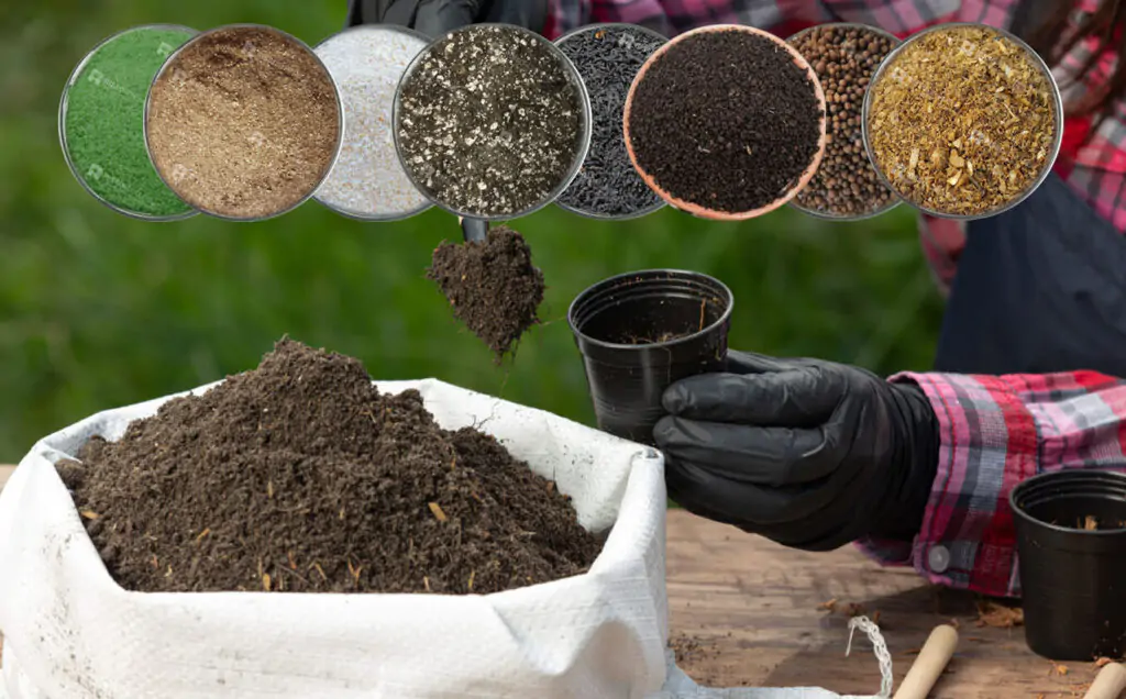 Organic Fertilizer Solutions